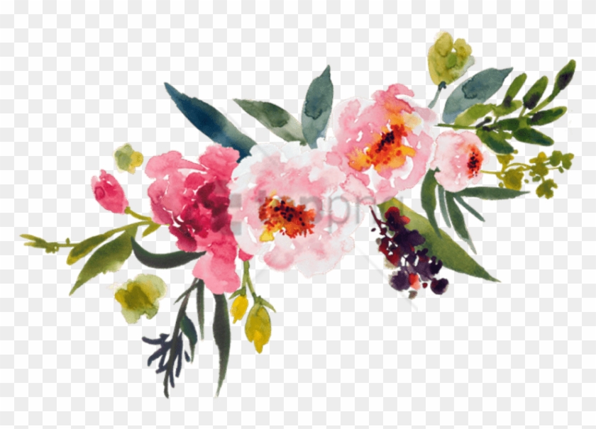 peonies clipart detailed