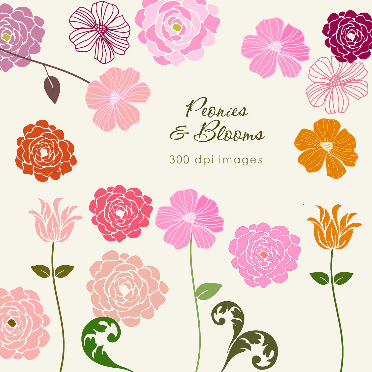 Free cliparts download . Peony clipart clip art
