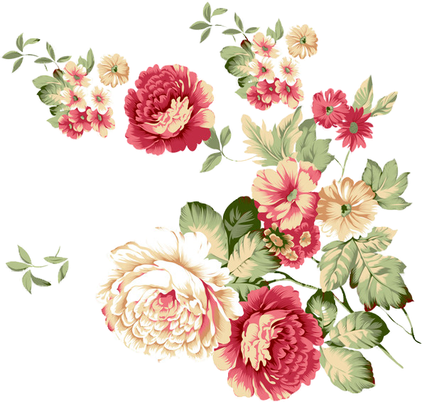 peonies clipart floral accent