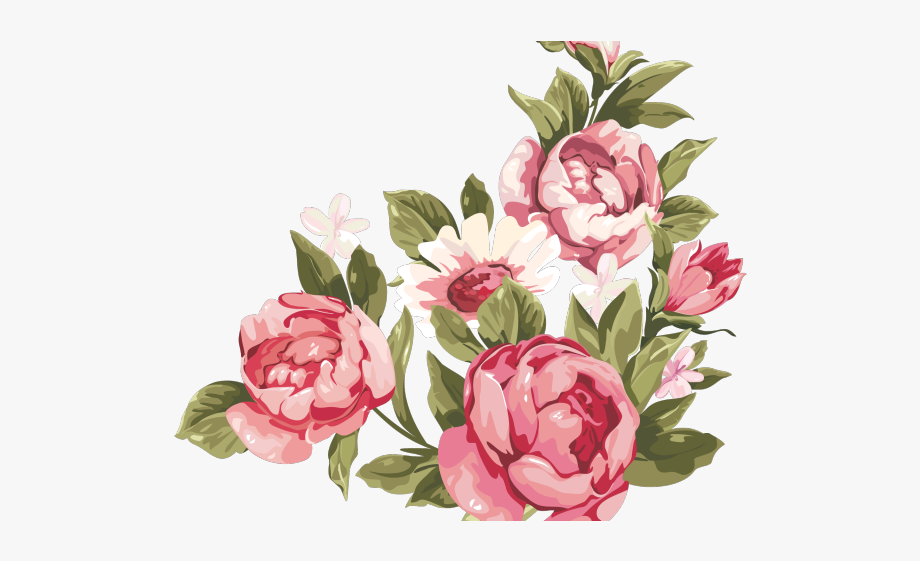 Peonies clipart floral accent, Peonies floral accent ...