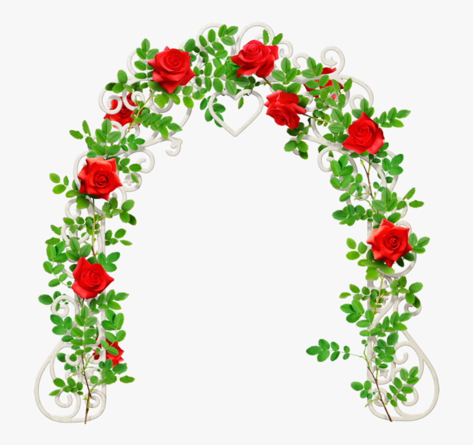 peonies clipart floral arch