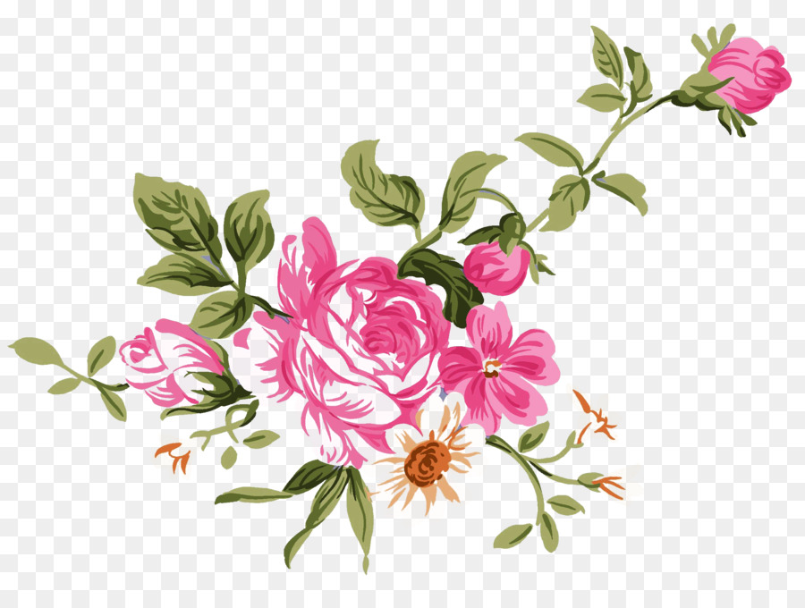 peony clipart flower cluster