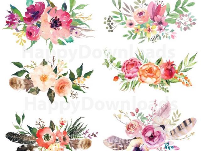 peony clipart flower cluster