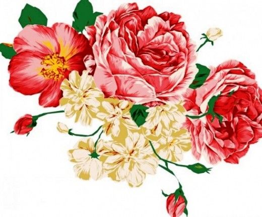 peonies clipart flower cluster