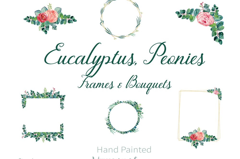 Eucalyptus and frames watercolor. Peonies clipart frame