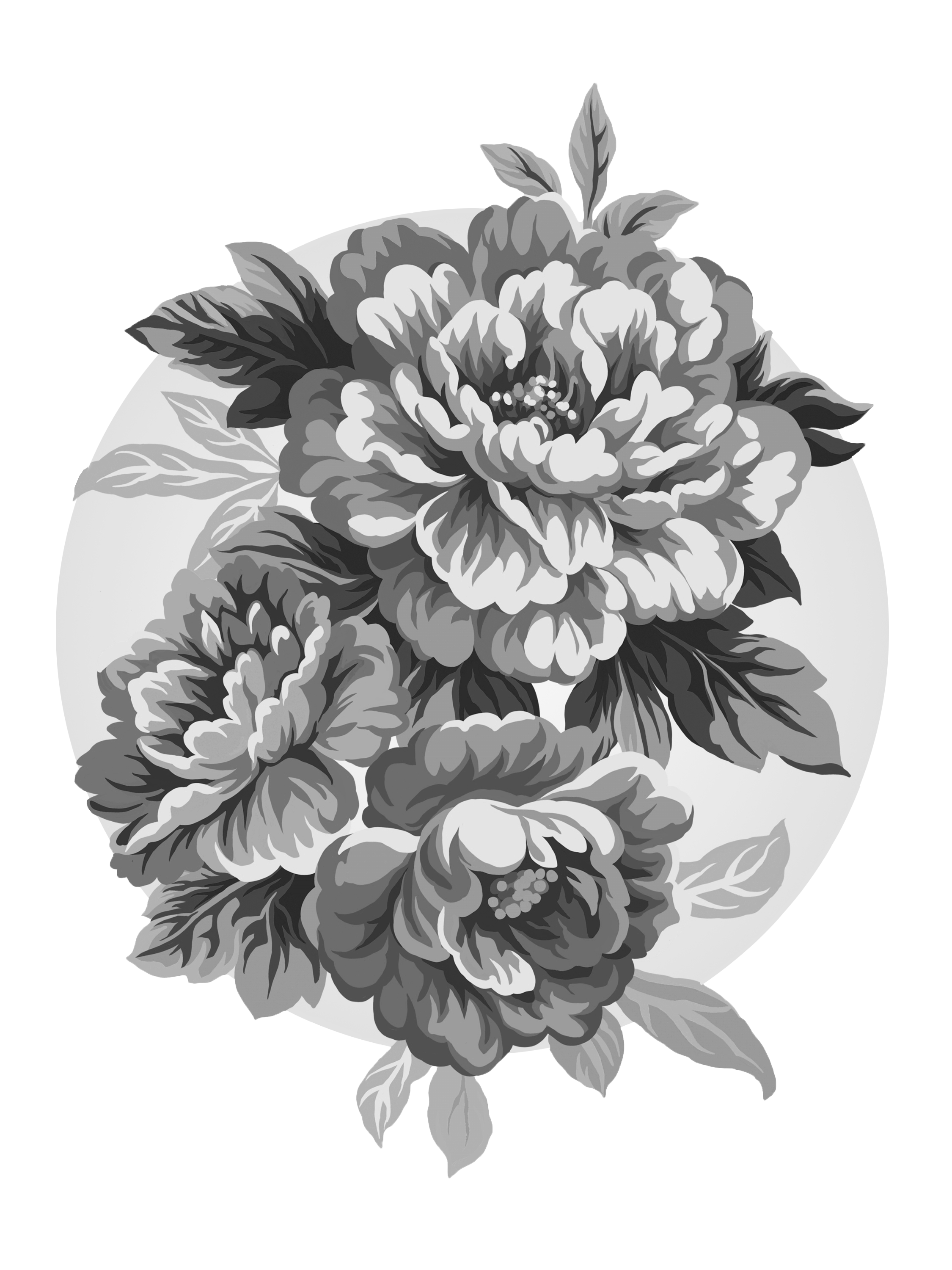 peonies clipart hand drawn