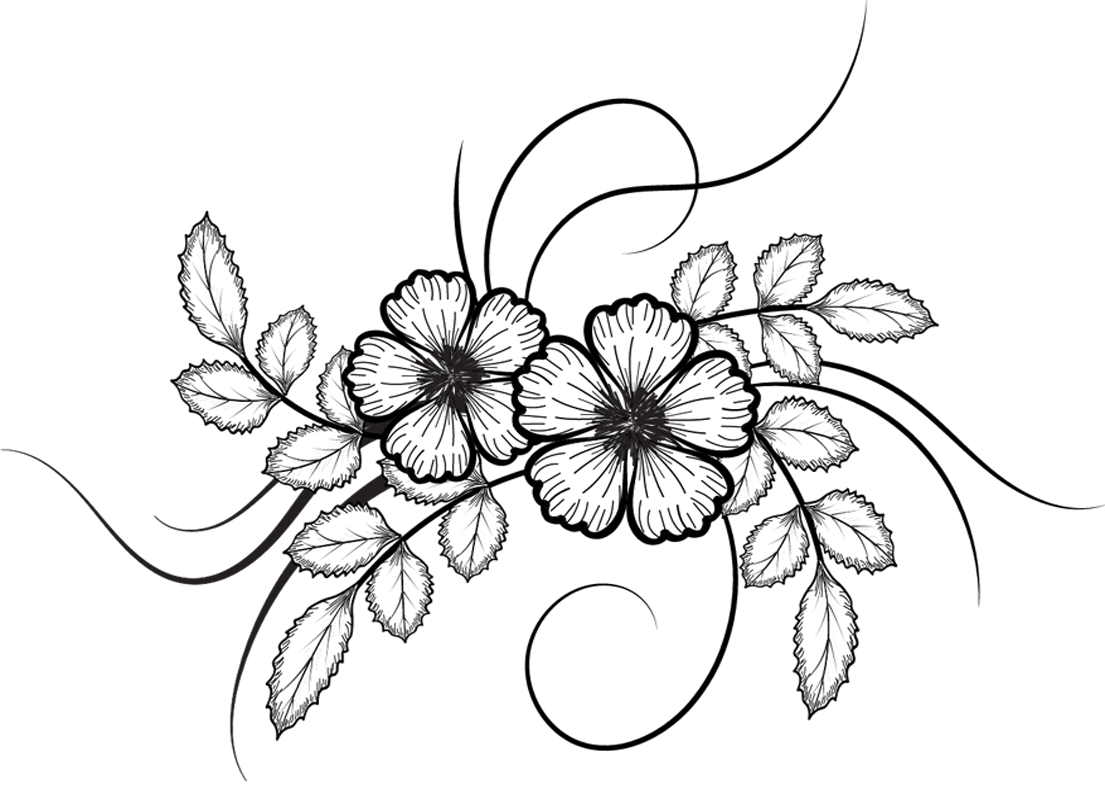 peonies clipart line drawn