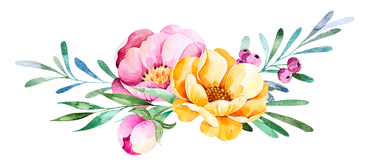 Download Peonies clipart plant, Peonies plant Transparent FREE for download on WebStockReview 2021