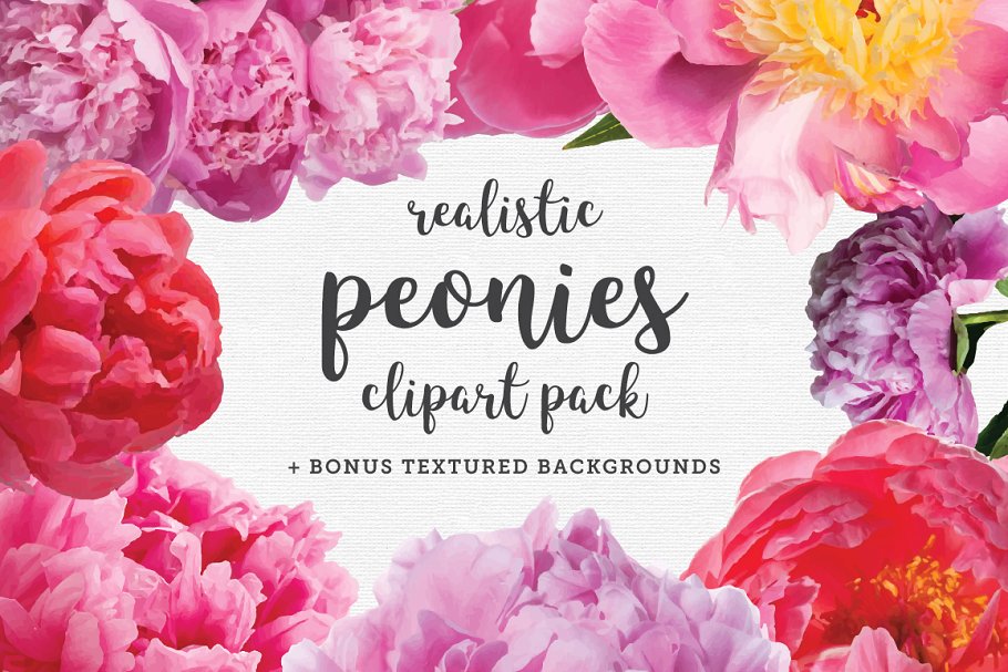 Peonies clip art pack. Peony clipart realistic
