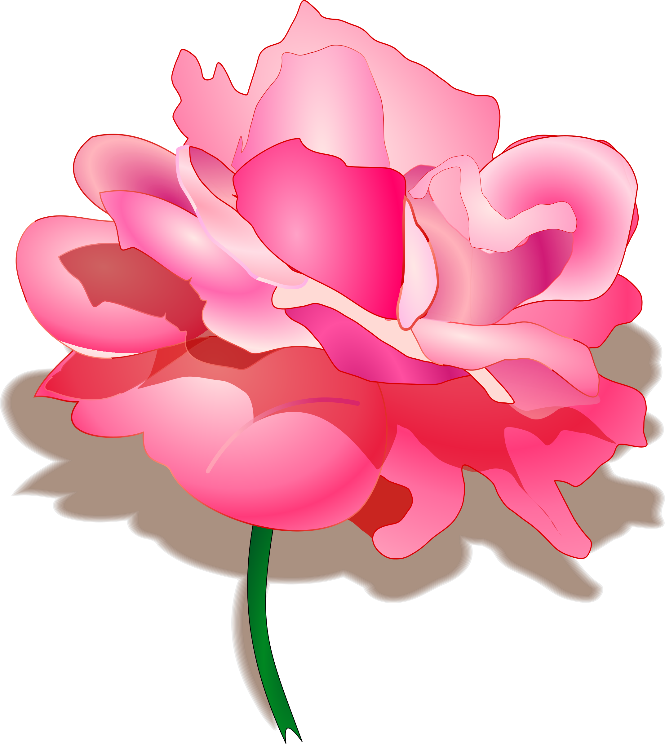 Peony clipart detailed. Rose big image png