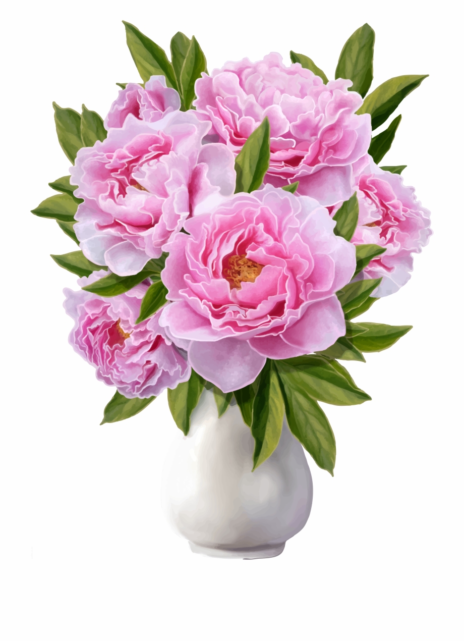Bouquet of peonies png. Peony clipart vase