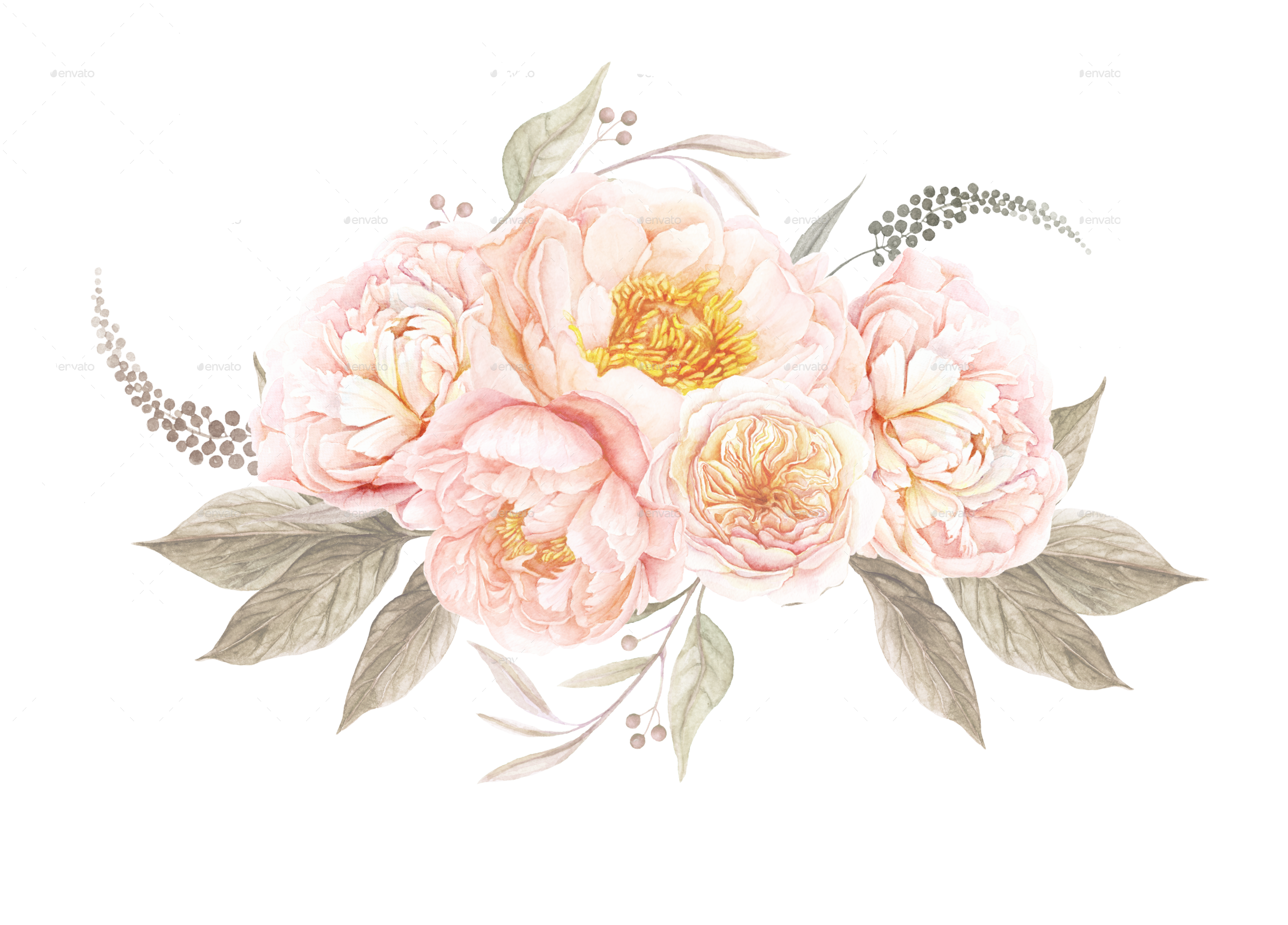 peony-clipart-watercolor-peony-watercolor-transparent-free-for
