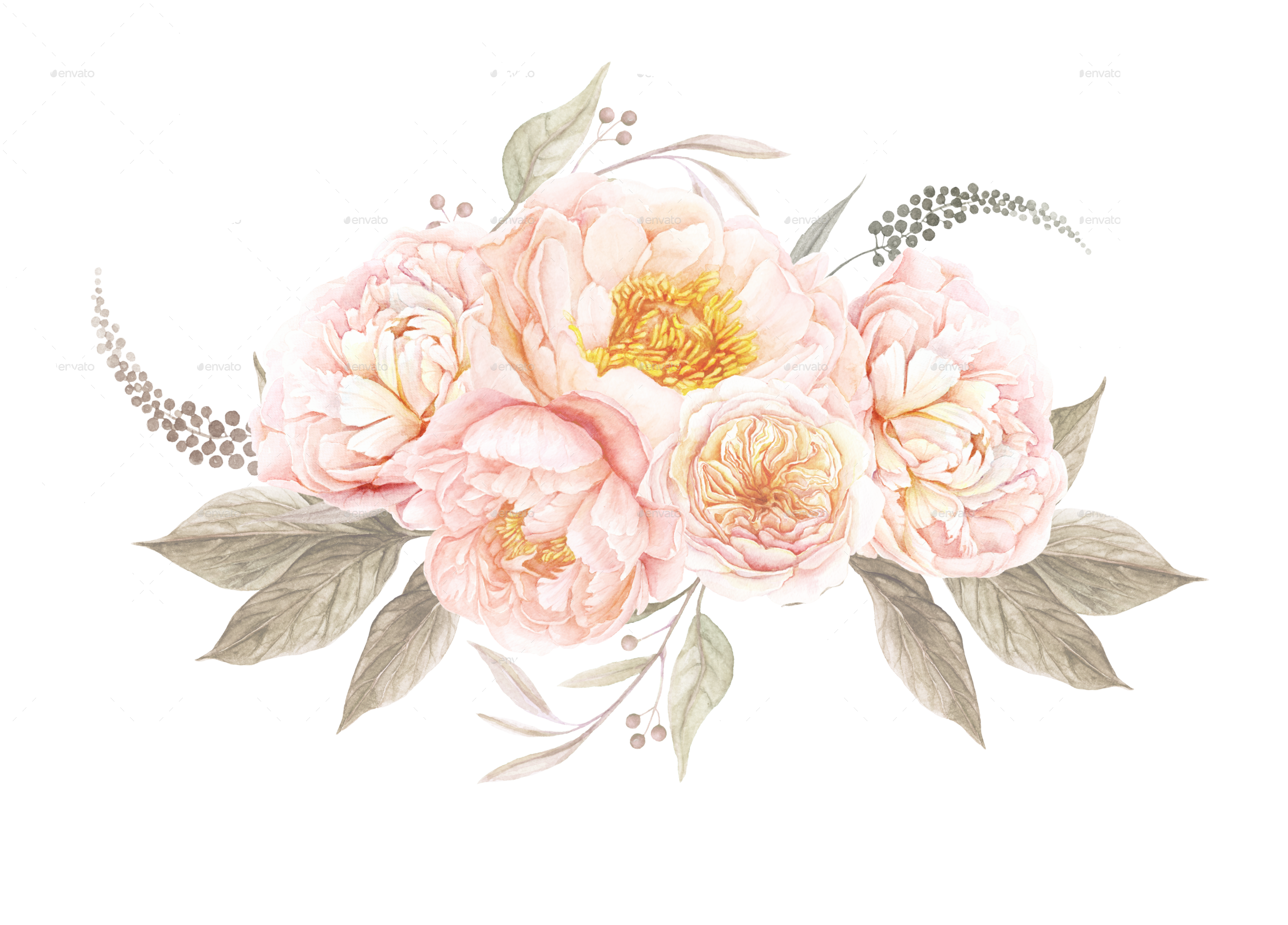 Peony watercolor