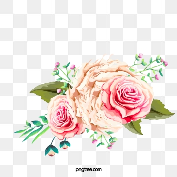 Peony images png format. Peonies clipart graduation flower