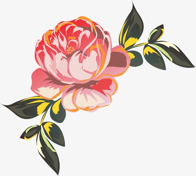 Peony clipart. Computer painted pink hand