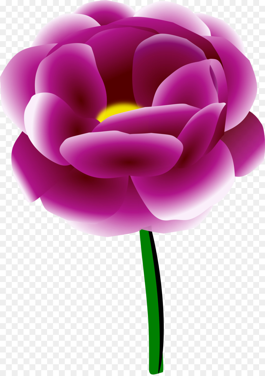 Peony clipart clip art. Drawing of family flower