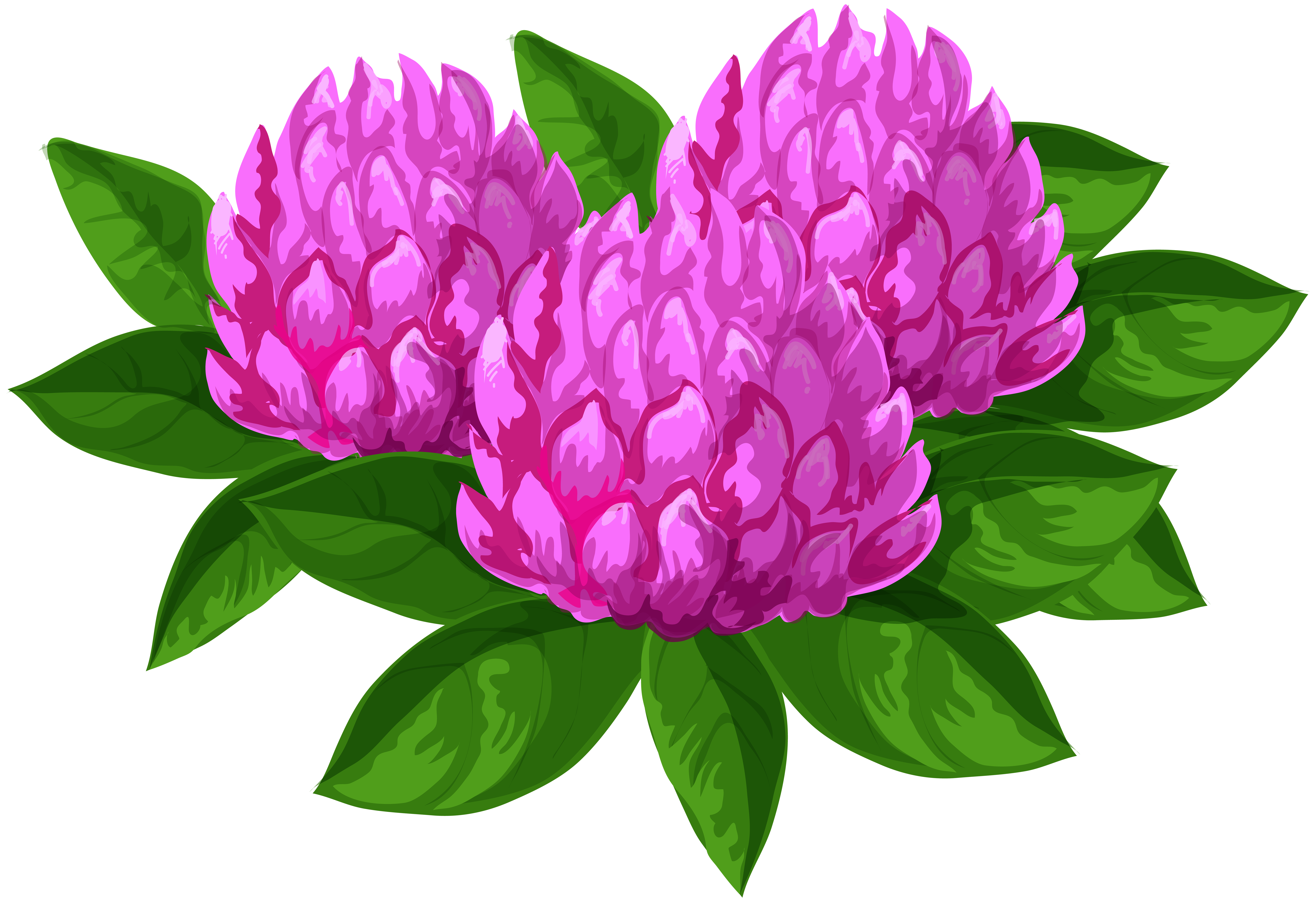 Wild flowers png image. Peony clipart clip art