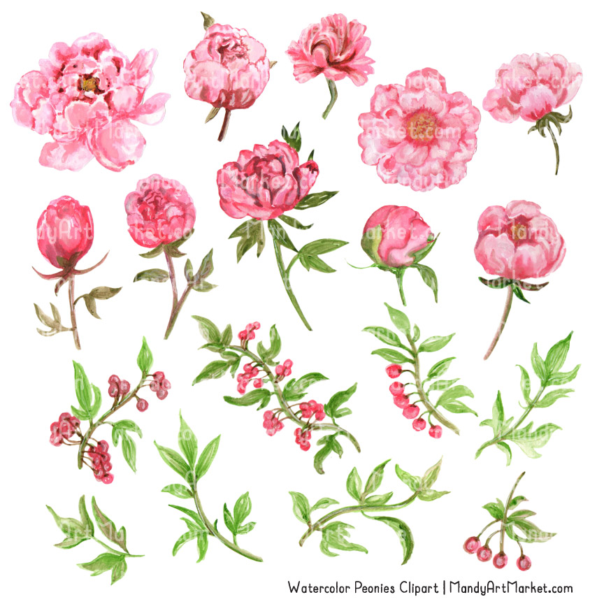 peony clipart floral accent