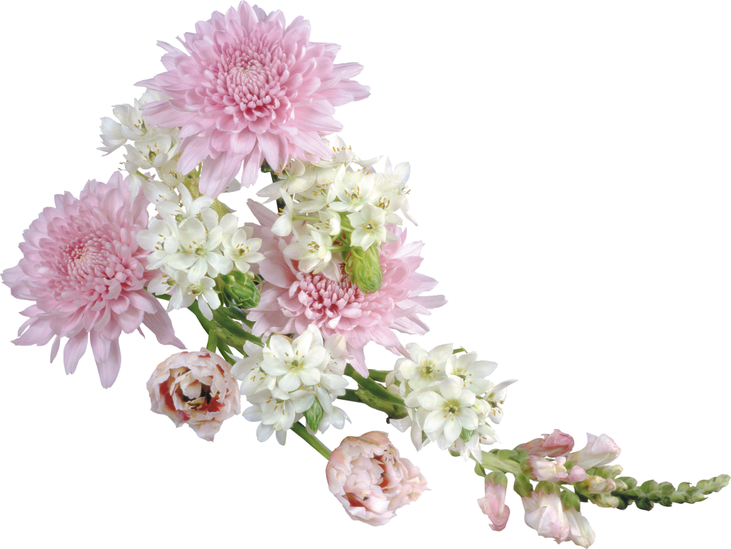 Transparent soft flower arrangement. Plum clipart floral