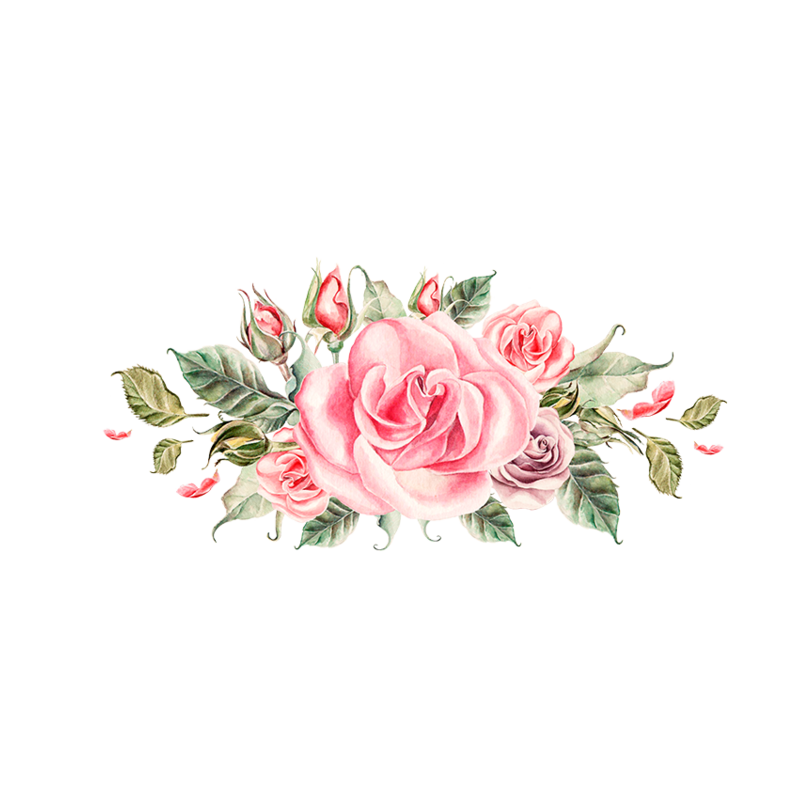peony clipart flower painting