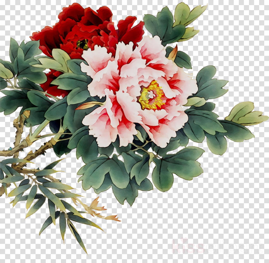 peony clipart flower painting