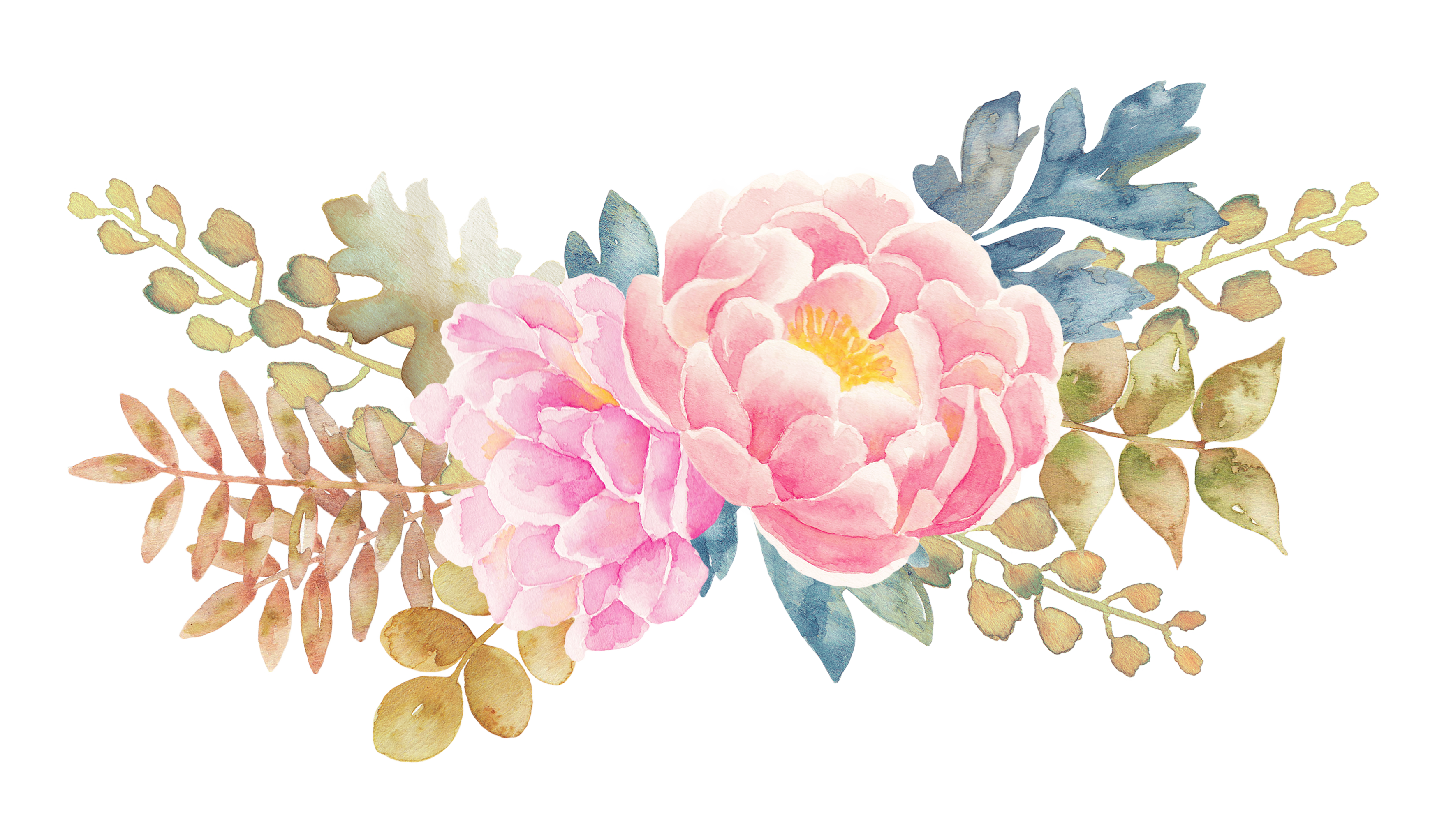 Download painted watercolor elements. Peony clipart graduation flower