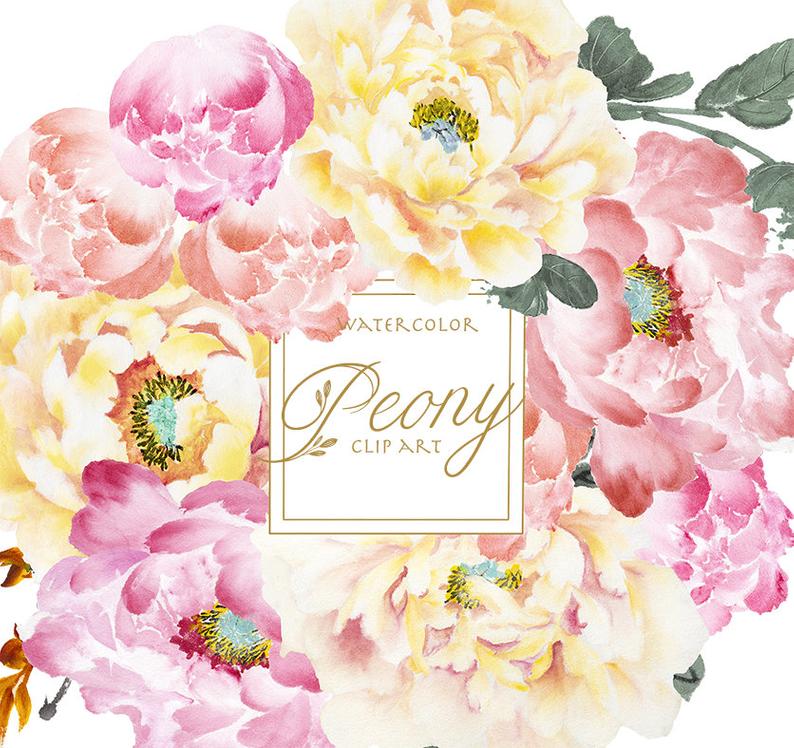 Peony clipart graduation flower. Blush watercolor wedding invitation