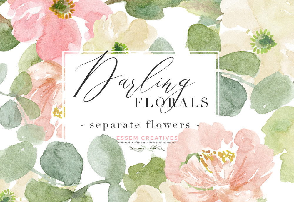 peonies clipart floral