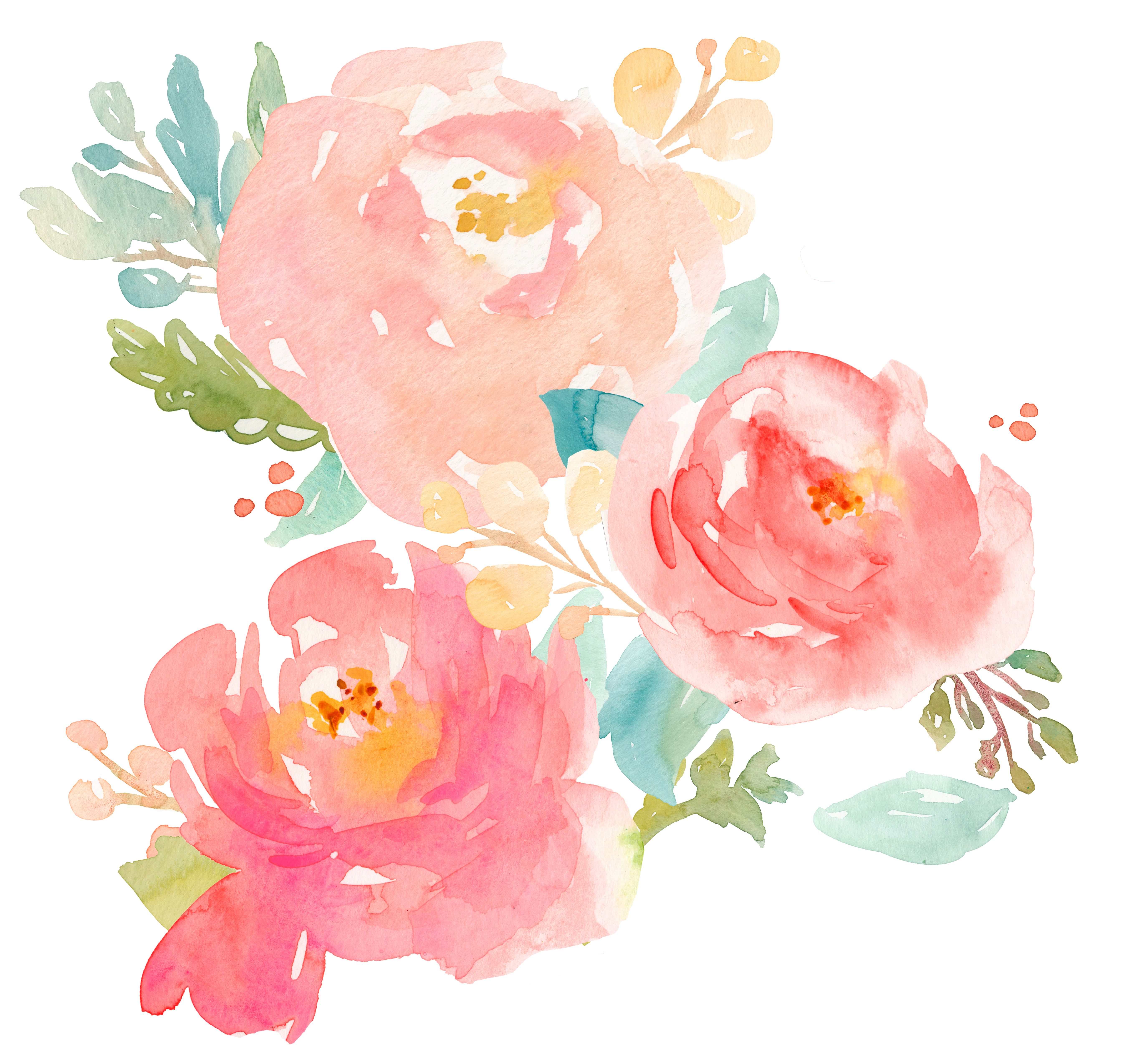 Peony clipart pastel. Watercolor painting clip art