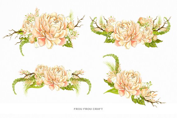 Flower clip art peach. Peony clipart pastel