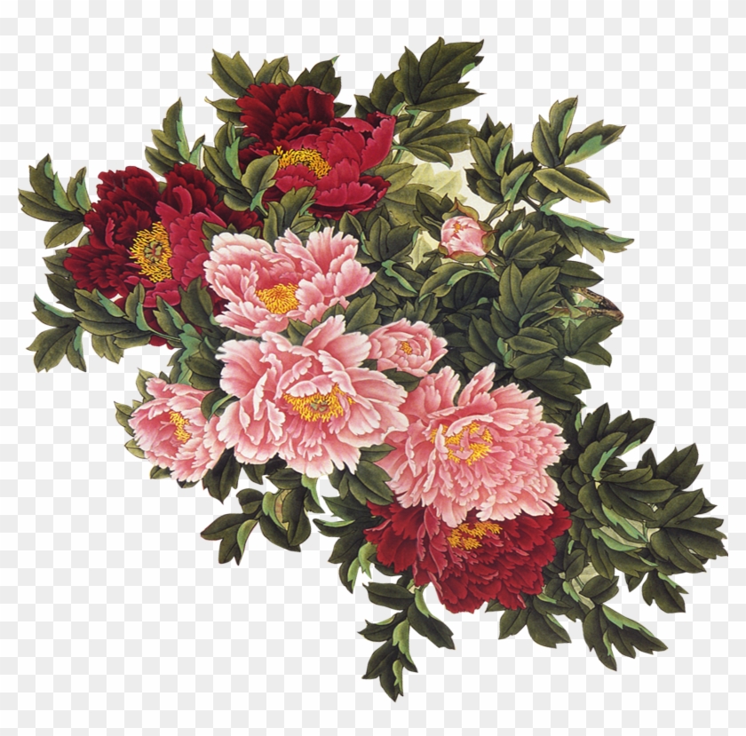 Vintage flowers illustration png. Peony clipart swag