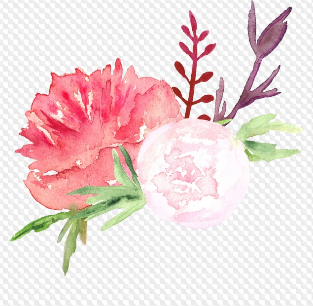 Peony clipart transparent background. Peonies in png collection