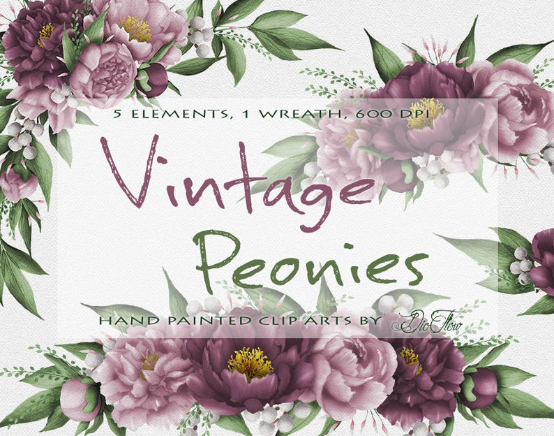 Peony clipart vintage. Watercolor mauve peonies flower