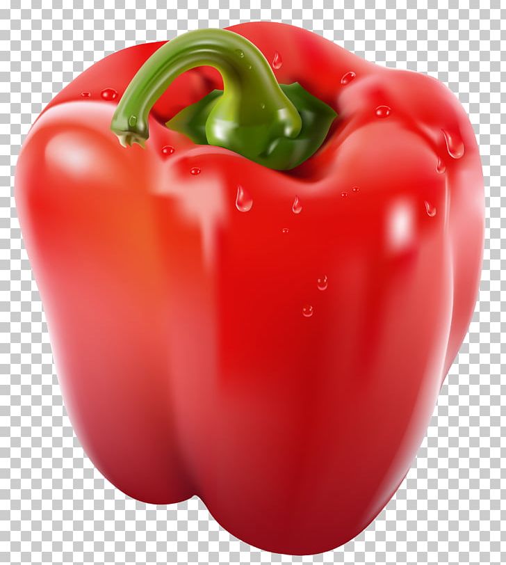 pepper clipart bell pepper