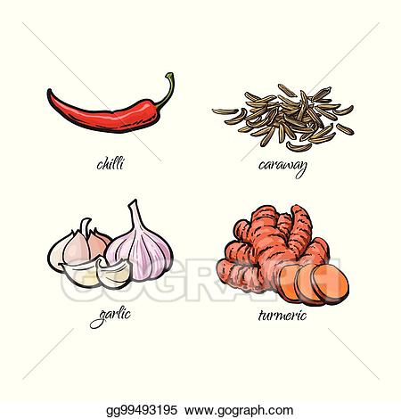 Vector turmeric and caraway. Pepper clipart chili garlic