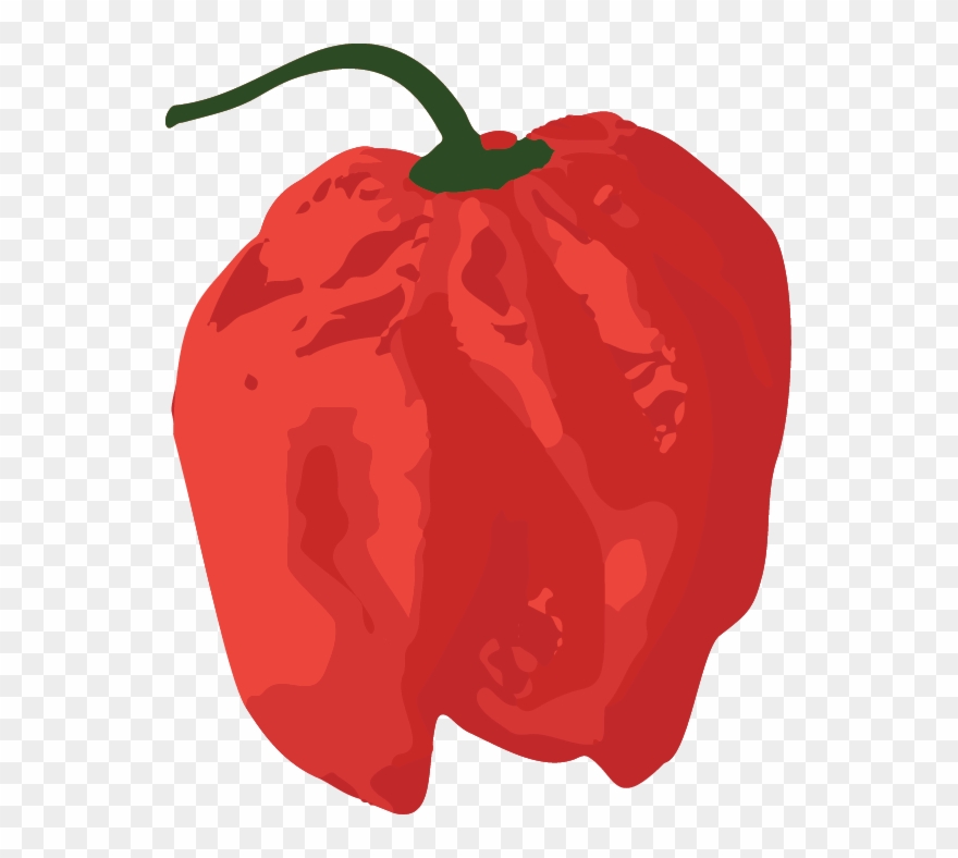 Pepper clipart habanero pepper. Red bell pinclipart 