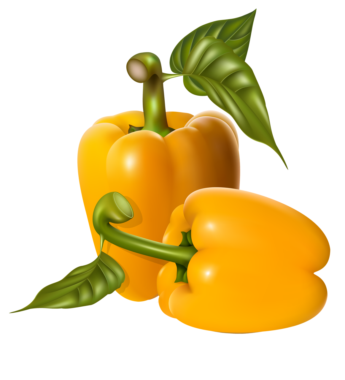 pepper clipart recipe