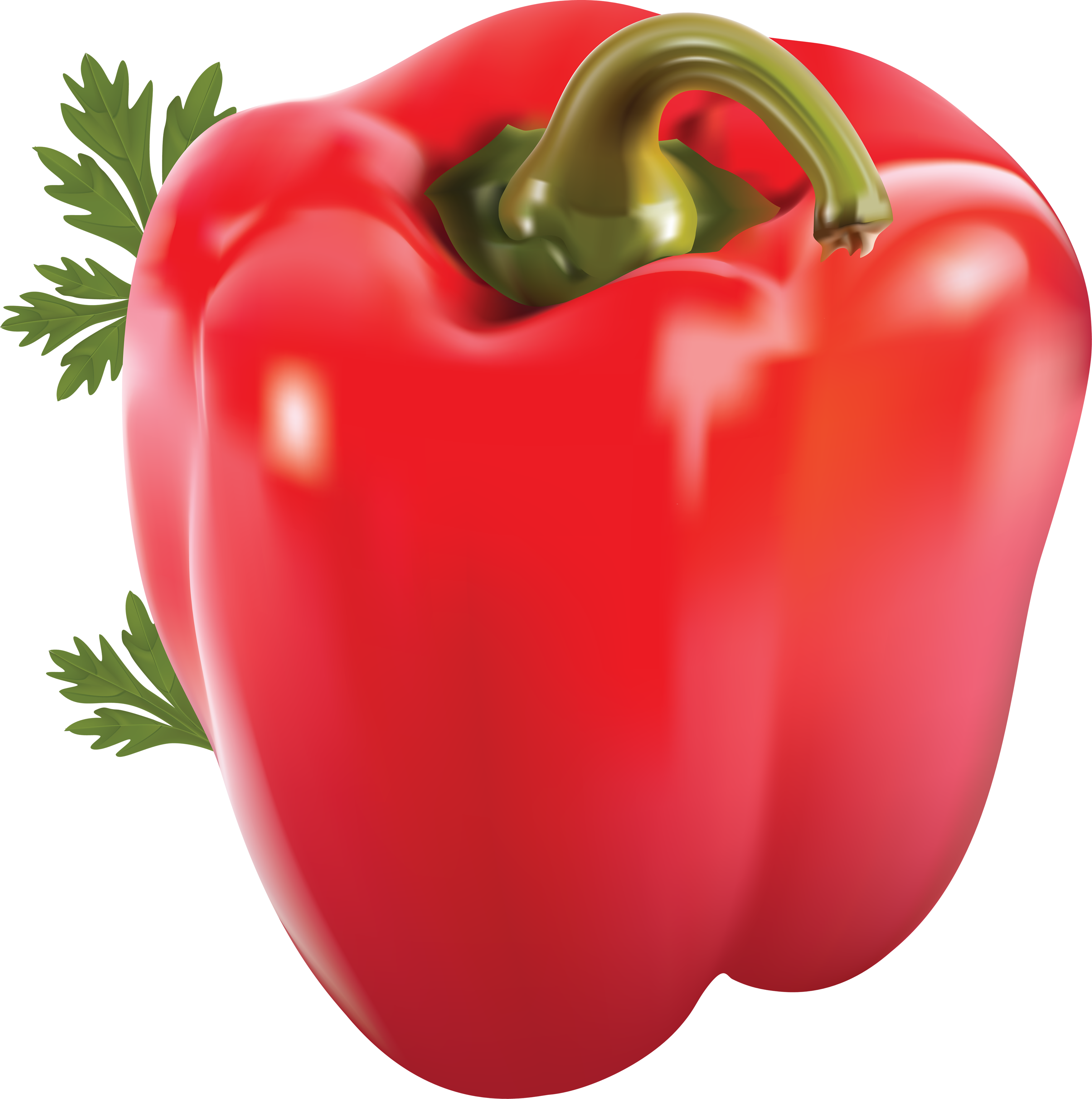 Pepper clipart sweet pepper. Red png image purepng