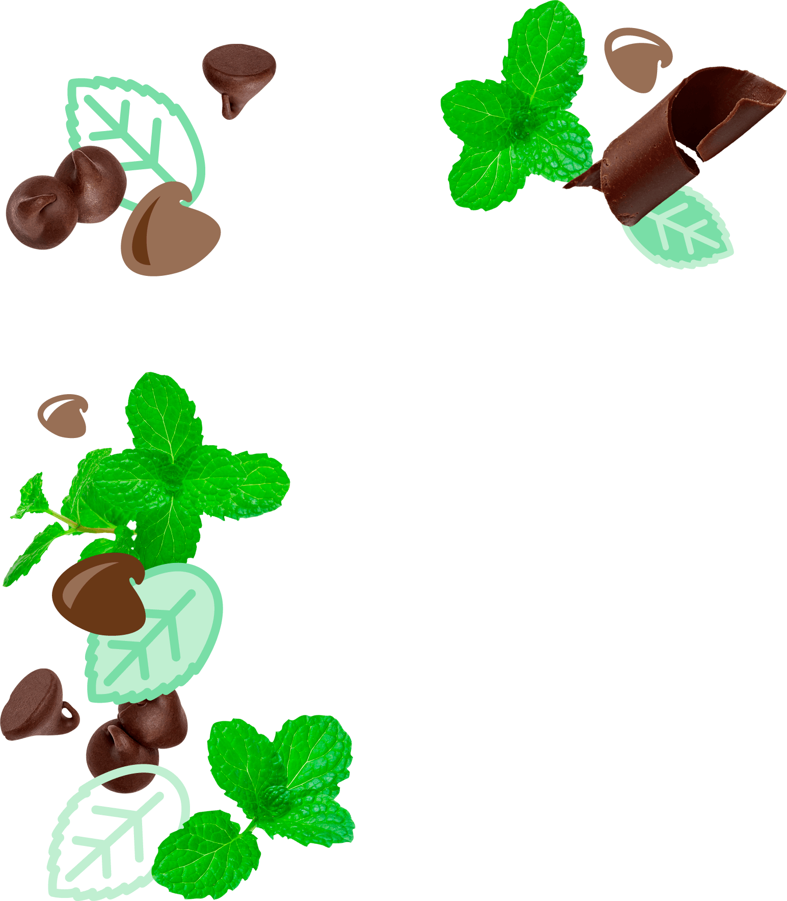 peppermint clipart chocolate mint