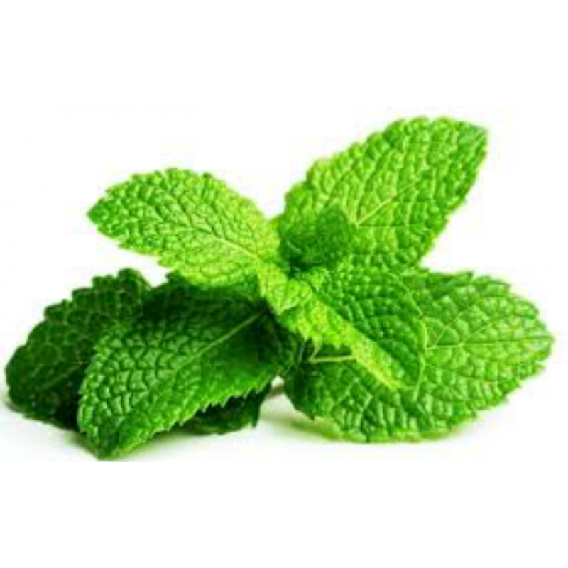 Peppermint peppermint leaf