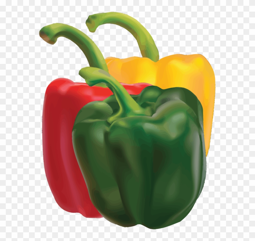 pepper clipart bell pepper
