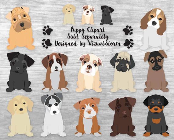 Pet clipart 5 dog. Bundle hand drawn akc