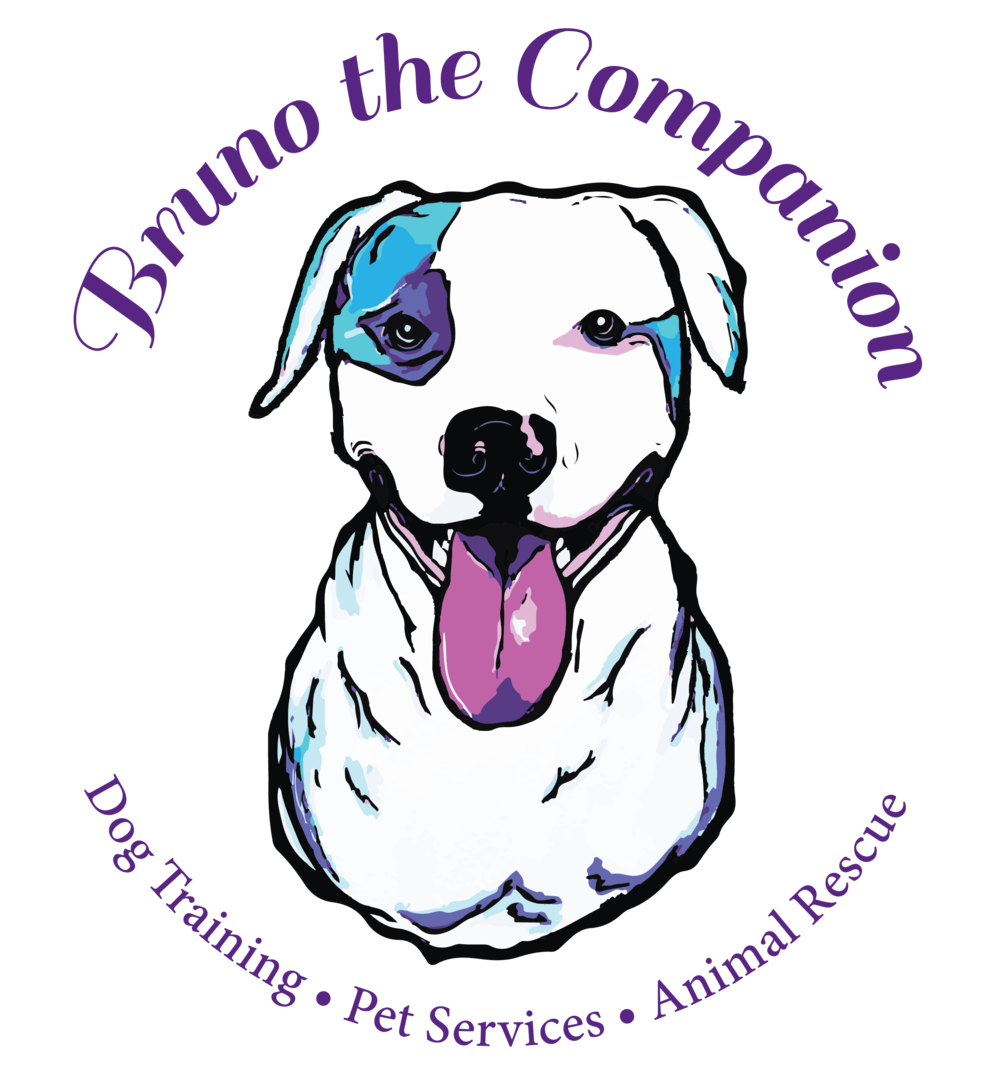pets clipart person dog