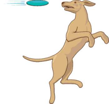 pet clipart frisbee dog
