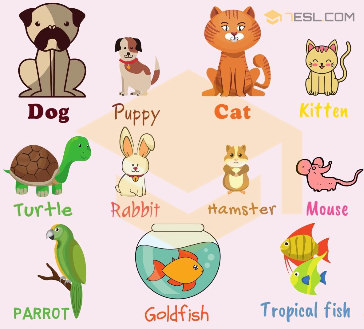 Pet clipart pet animal, Pet pet animal Transparent FREE for download on