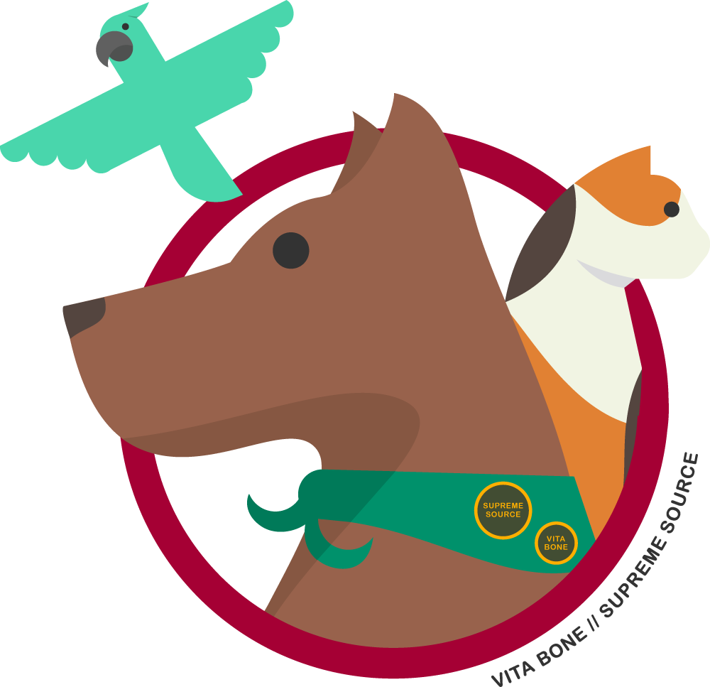 pet clipart pet therapy