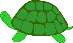 pet clipart pet turtle
