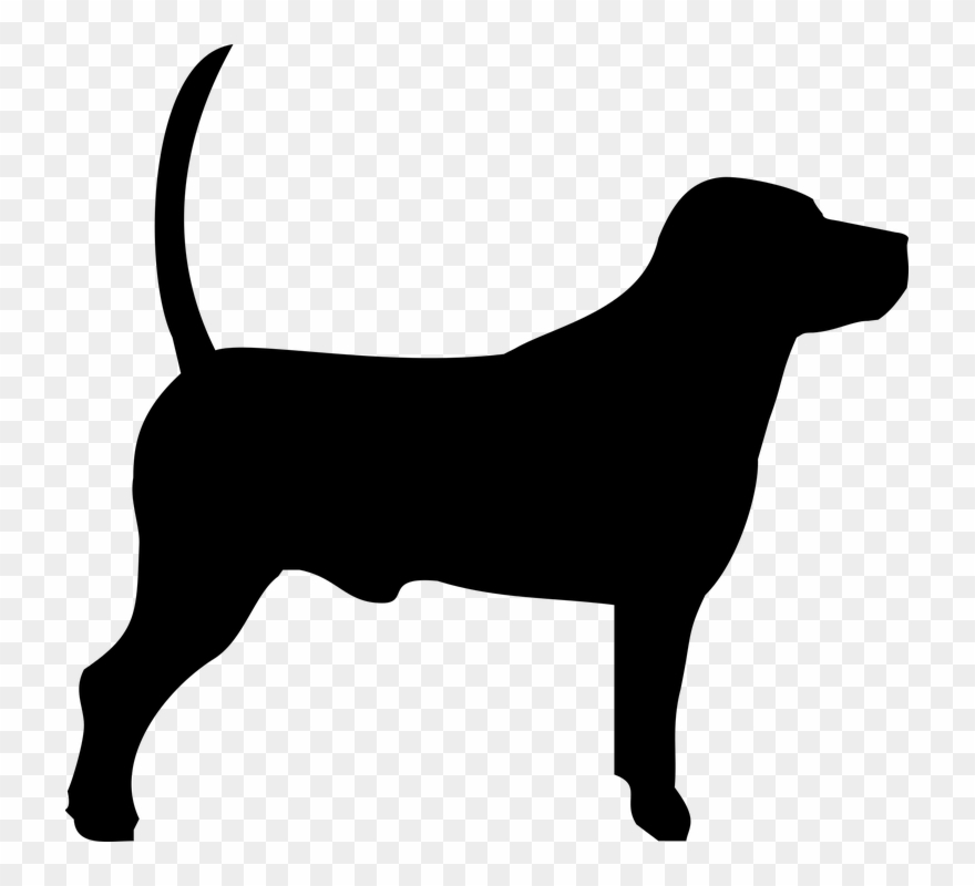 House pet cliparts buy. Pets clipart 5 dog