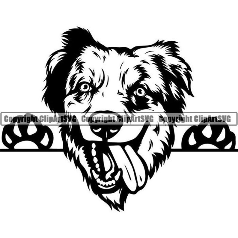 Pets clipart 9 animal. Australian shepherd peeking aussie