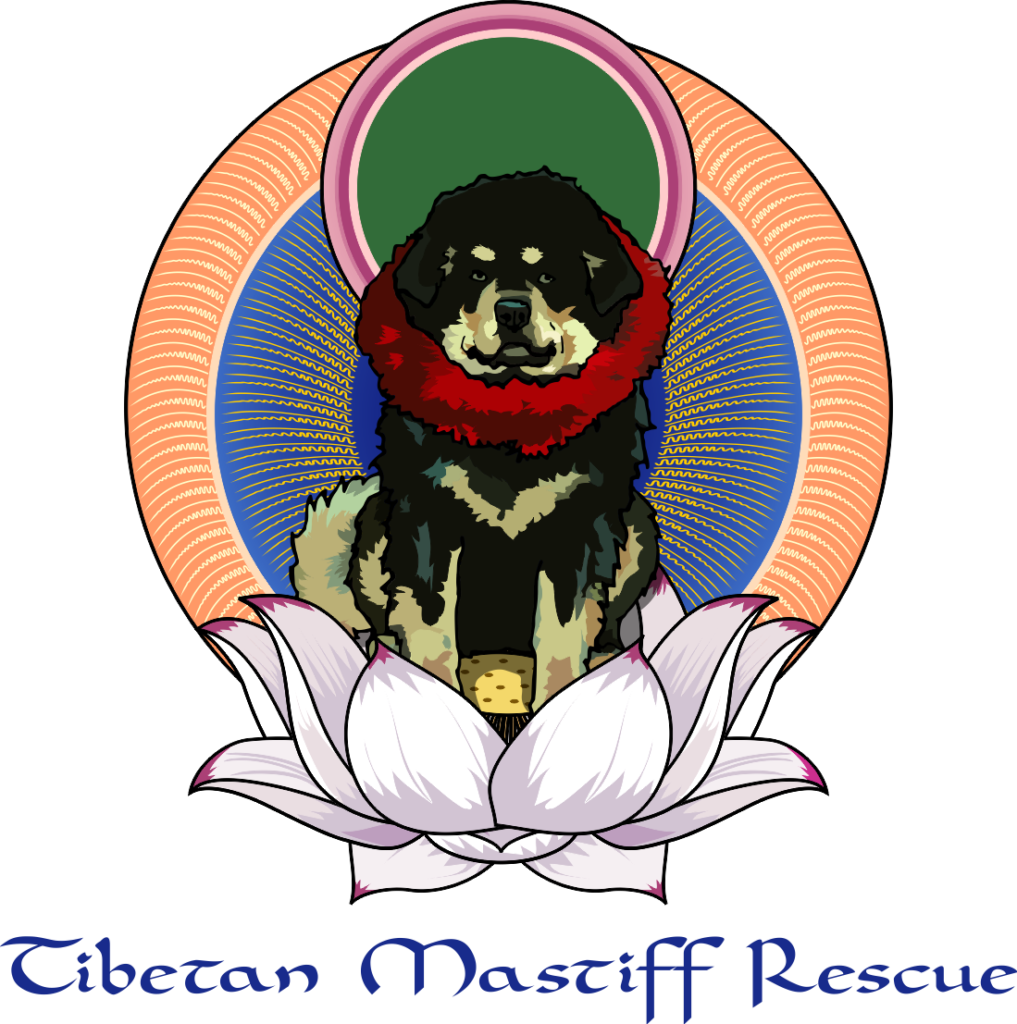 Pets clipart animal protection. Supporting empowering pet rescue